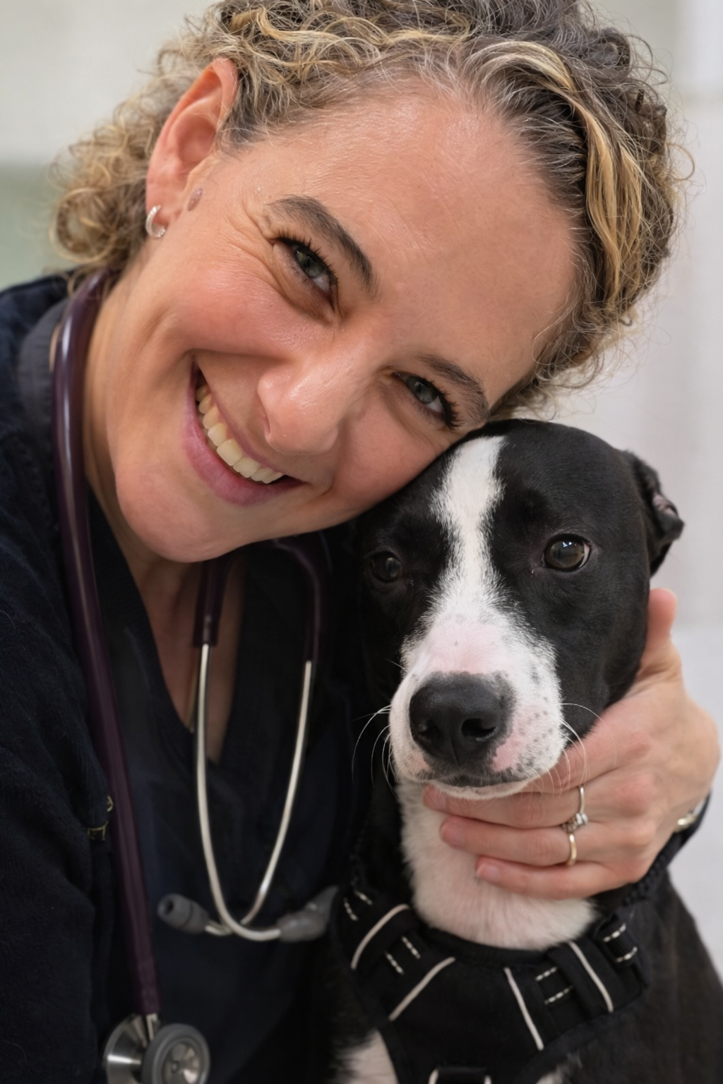 Profile for Alison Borek