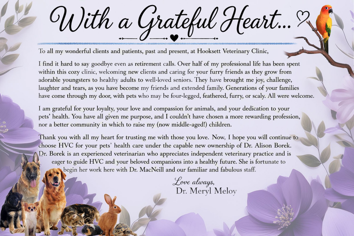 Message from Dr. Meloy